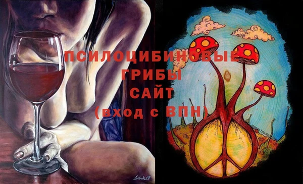 индика Верхнеуральск