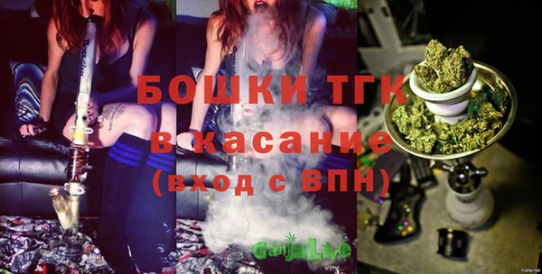 хмурый Верхний Тагил