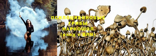 индика Верхнеуральск