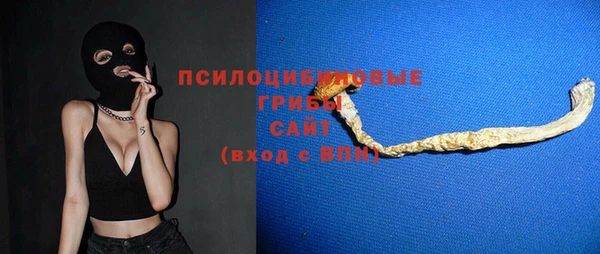 хмурый Верхний Тагил