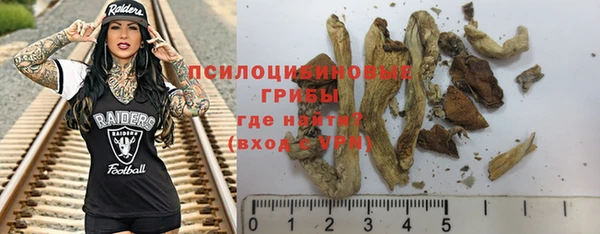 хмурый Верхний Тагил