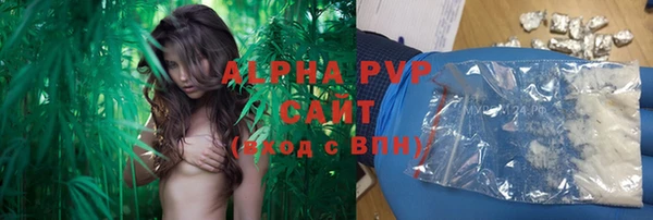 индика Верхнеуральск